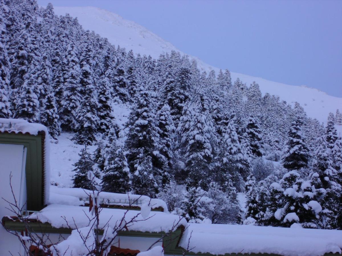 Hotel Spa Montana Karpenisi Buitenkant foto